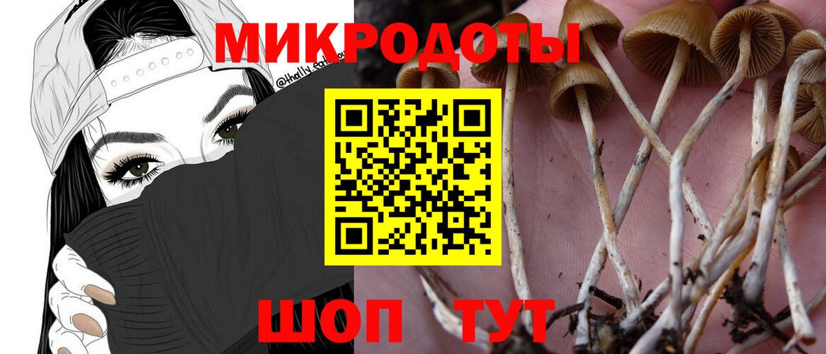 Галлюциногенные грибы Psilocybine cubensis Нефтекумск